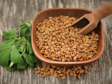 Fenugreek