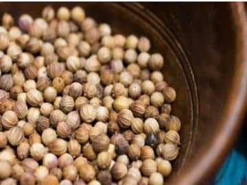 Coriander's Rejuvenation: Navigating Export-Driven Recovery - Coriander Experiences Sluggish Sowing This Season 