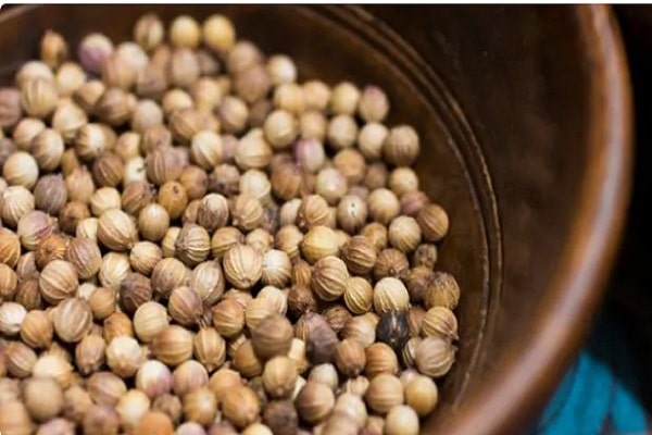 Coriander's Rejuvenation: Navigating Export-Driven Recovery - Coriander Experiences Sluggish Sowing This Season 