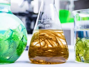 Biotechnology
