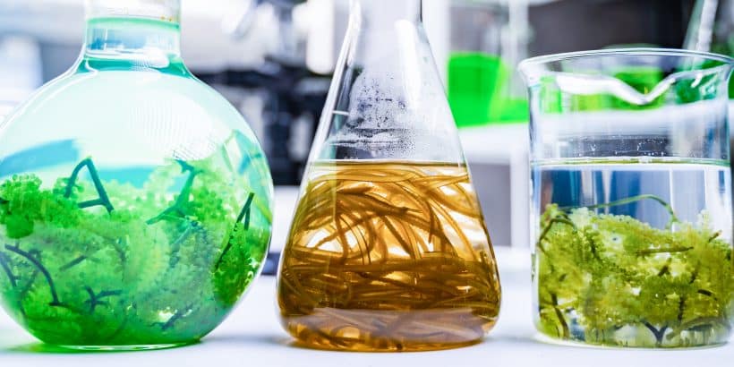 Biotechnology