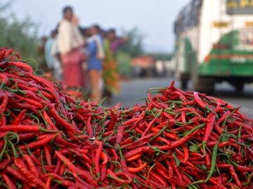 Red Chilli