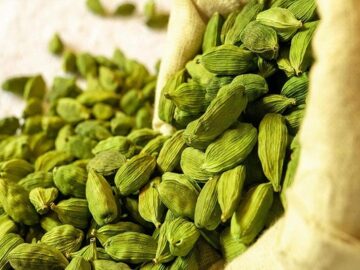 Cardamom