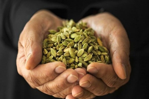 cardamom