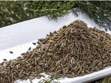 Cumin