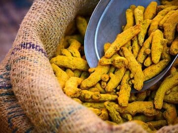 Turmeric Indian spices