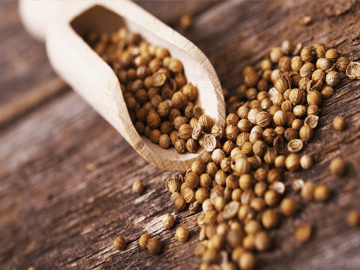 Coriander