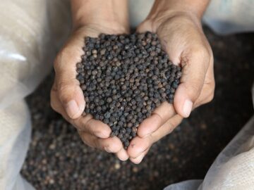 Black Pepper Prices Expected to Maintain Strength