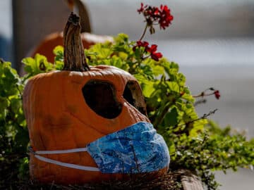 pumpkin covid epidemic market