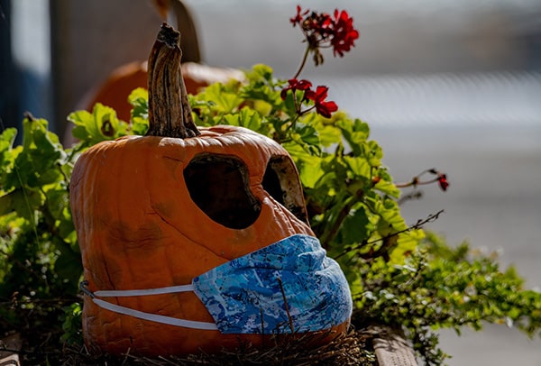 pumpkin covid epidemic market