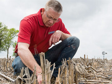 Tom Oswald united soybean board