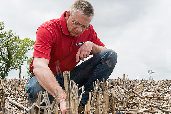 Tom Oswald united soybean board