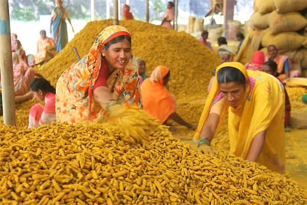 turmeric