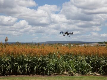 precision agriculture robot weeding