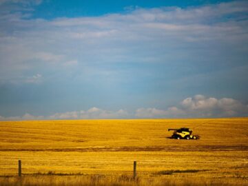 Canada wheat tractor field