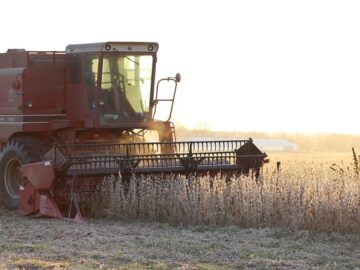 U.S. Soy Exports soybean