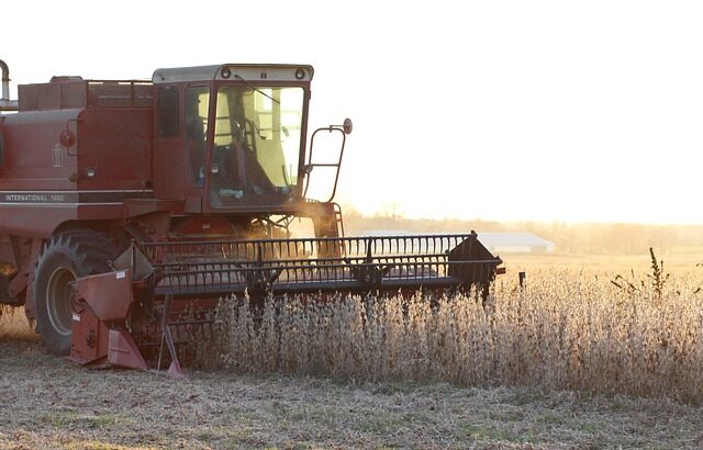 U.S. Soy Exports soybean