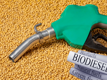 biodiesel