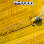 rapeseed export Ukraine Should Look For Alternative European Sales Markets for Rapeseed Rapeseed Harvest Estimate Reduced in EU Due to Drought - Australia Increased Canola Exports
