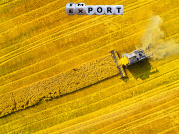 rapeseed export Ukraine Should Look For Alternative European Sales Markets for Rapeseed Rapeseed Harvest Estimate Reduced in EU Due to Drought - Australia Increased Canola Exports