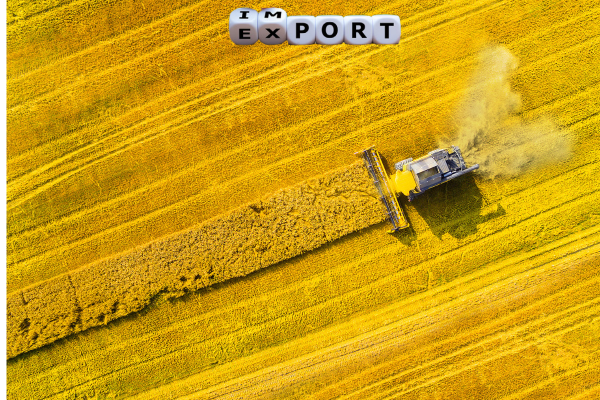 rapeseed export Ukraine Should Look For Alternative European Sales Markets for Rapeseed Rapeseed Harvest Estimate Reduced in EU Due to Drought - Australia Increased Canola Exports