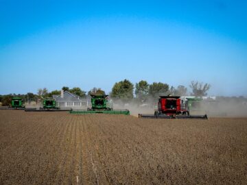 harvest soybean tractor field yield farm farmer Strategie Grains: EU to Harvest Less Oilseeds Weather Conditions Contributed to a Good Crop Yield in Ukraine