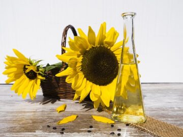 sunflower oil seeds kernels