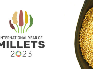 international year of millets