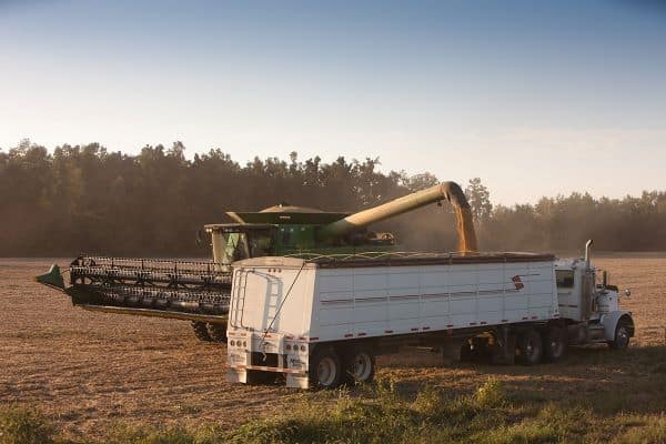 Soy innovation challenge Conab Predicts Record Soybean and Corn Harvests in Brazil Argentine Completes Soybean Harvest