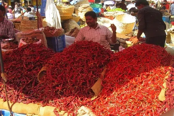 red chillies chilies