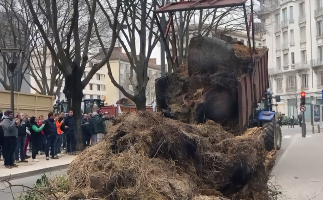 French Farmers Protest