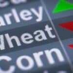 USDA's Acreage Forecast Indicates Decrease in Corn and Wheat Plantings The U.S. Department of Agriculture (USDA) has unveiled its initial acreage forecast for