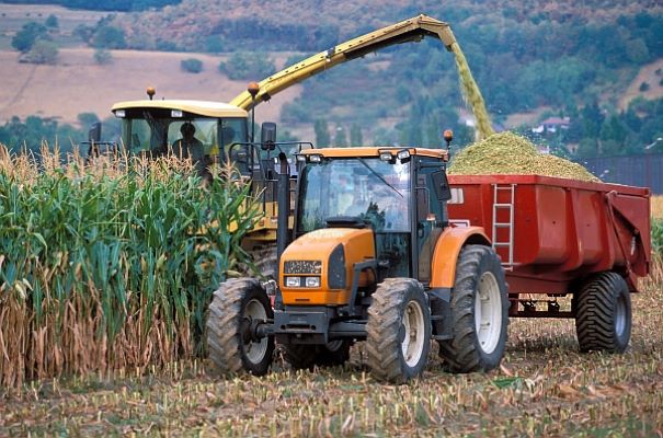 Corn market tractor field