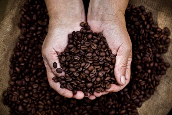 coffee