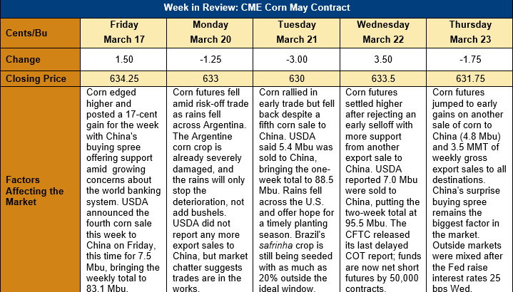 corn market