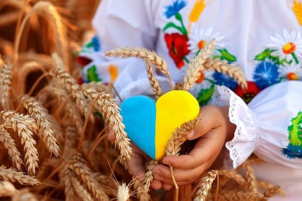 Ukraine Exported 1.1 Million Tonnes More in January Than a Year Ago