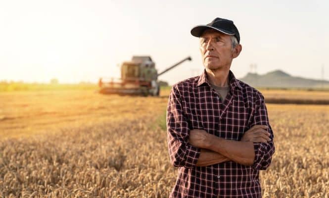 harvest grain farmer