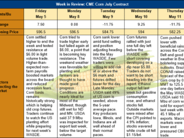 Corn Market Perspectives – Futures, Stocks, Production