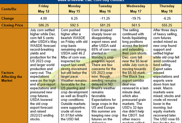 Corn market perspectives