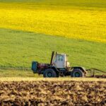 Sales Decline as Chinese Sunflower Kernel Market Entering Off-Season Sunflower Market Enters Traditional Off-Season Period in China - Ongoing Efforts Between EU States and Ukraine Regarding Agricultural Imports