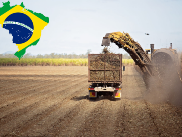 Sugar Production Below Estimates in Brazil - Sugar Production in Brazil Rose 9 Percent - Sugarcane Crushing Exceeding Estimated in Brazil - Global Sugar Supply Improves - Prices Retreat