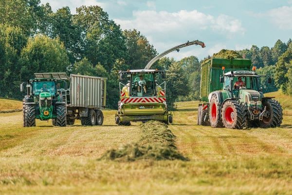 Weather Conditions in Germany Support the Development of Cereal Crops Ukraine Has Improved the Forecast for Crops 2023