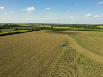 Checkoff Chats 8 From the Field to the Fryer to Your Farm’s Bottom Line