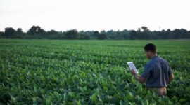 Checkoff Chats #9 Your Investments in Action - Priority Area Update