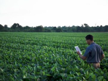 Checkoff Chats #9 Your Investments in Action - Priority Area Update