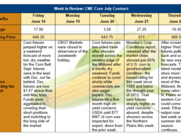 Corn Market Drought and Panic Buying at CBOT