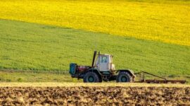Expectations for Rape, Sunflower, Soybean Harvest in the EU EU Ready to Export Ukrainian Agricultural Products via Solidarity Lanes - Ukrainian Farmers Have Already Harvested 37.4 Million Tons of Grain and Oil Crops