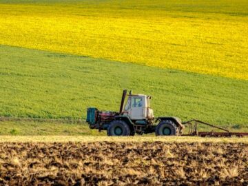 Expectations for Rape, Sunflower, Soybean Harvest in the EU EU Ready to Export Ukrainian Agricultural Products via Solidarity Lanes - Ukrainian Farmers Have Already Harvested 37.4 Million Tons of Grain and Oil Crops - Bulgaria to Harvest %21 Less Sunflower