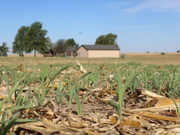 How to Measure Cover Crop Success