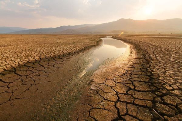 More Than 40% Loss Due to Drought in the Baltic Countries